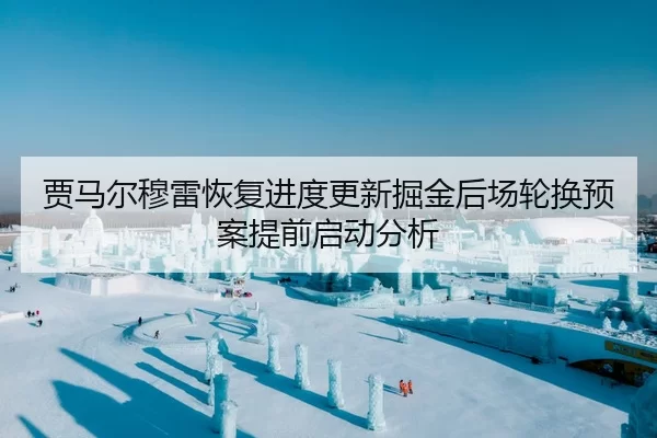 贾马尔穆雷恢复进度更新掘金后场轮换预案提前启动分析