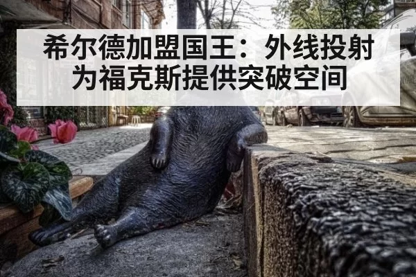 希尔德加盟国王：外线投射为福克斯提供突破空间